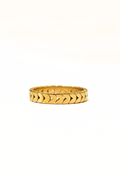 Chevvy Ring image 0