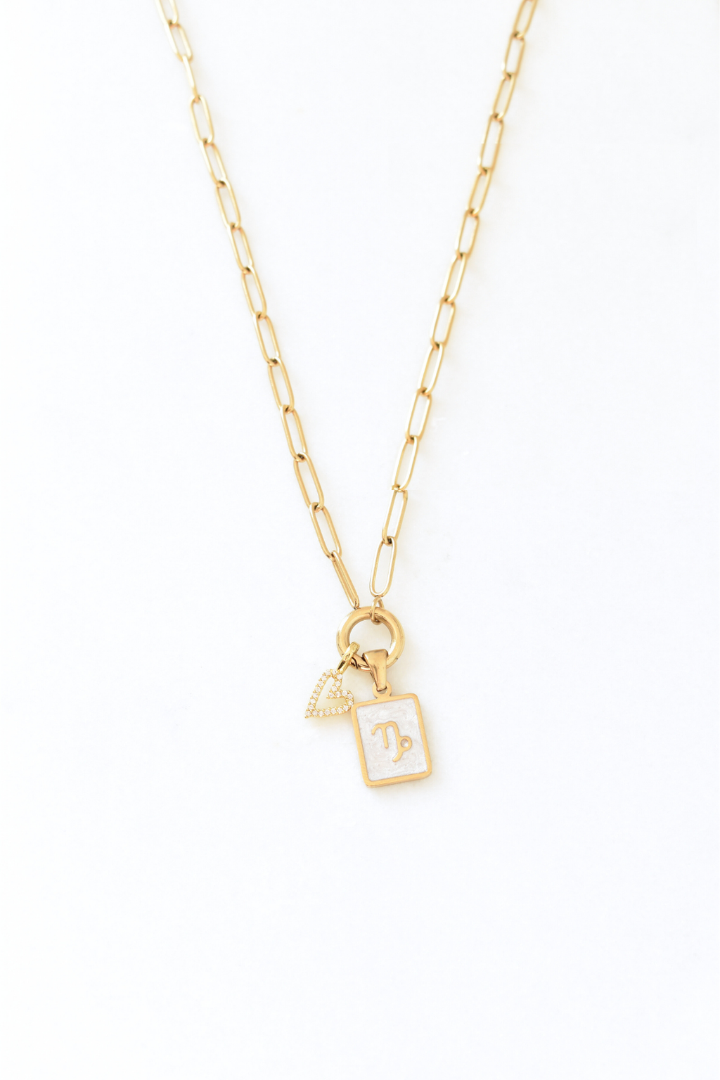 Zodiac Tag Charm Necklace image 0