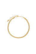 Herringbone Anklet image 0