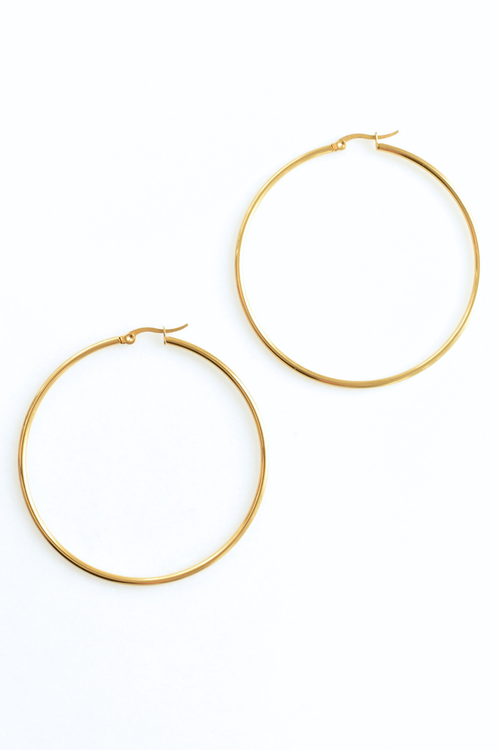 Biggie Hoop Earrings image 0