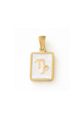Zodiac Tag Charms