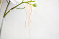 Swaai Threader Earrings image 0
