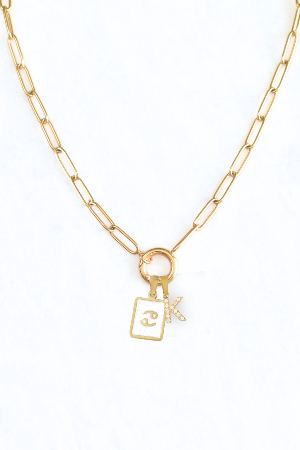 Zodiac Tag Charms image 4